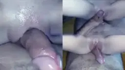 Pantat Mulus Menggesek Kontol Keras