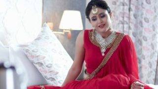 Selamat Tinggal, Film Dewasa (film Web Hindi)