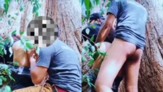 Video Panas Pasangan Mesra Bercinta Di Bawah Pohon Besar