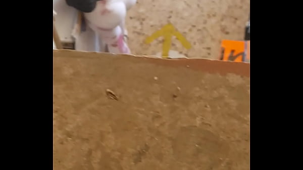 Gercep Aja Tuh Perek, Culotte Kebuka Lebar Pas Dia Ngangkang.